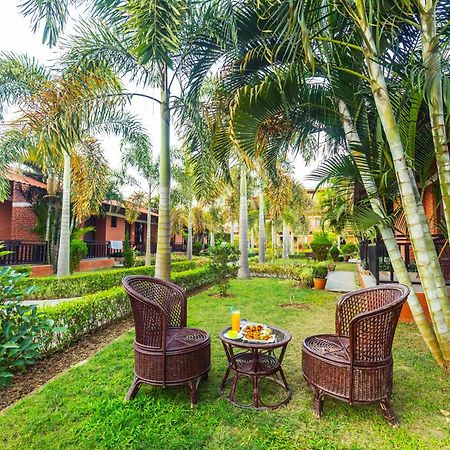 Vision Safari Pvt Ltd Ξενοδοχείο Sauraha Εξωτερικό φωτογραφία