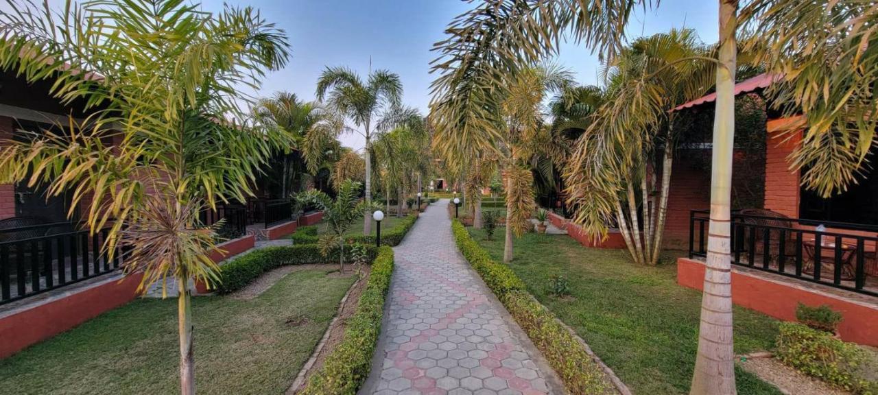 Vision Safari Pvt Ltd Ξενοδοχείο Sauraha Εξωτερικό φωτογραφία